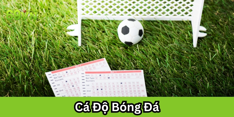 Cá Độ Bóng Đá và những lưu ý