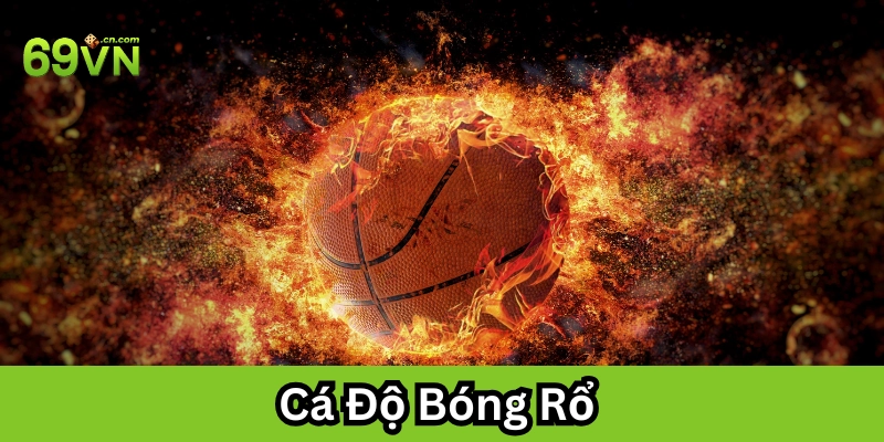 Các kèo Cá Độ Bóng Rổ