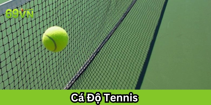 Cá độ Tennis: Hướng Dẫn Chi Tiết và Những Điều Cần Lưu Ý