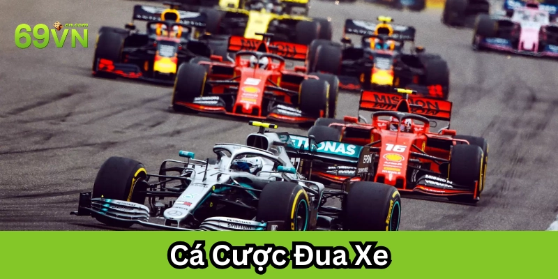 Một số hình thức Cá Cược Đua Xe