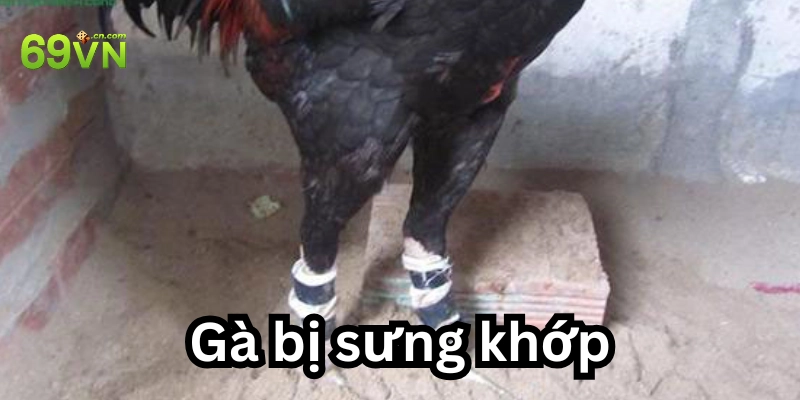 6 cách điều trị dứt điểm