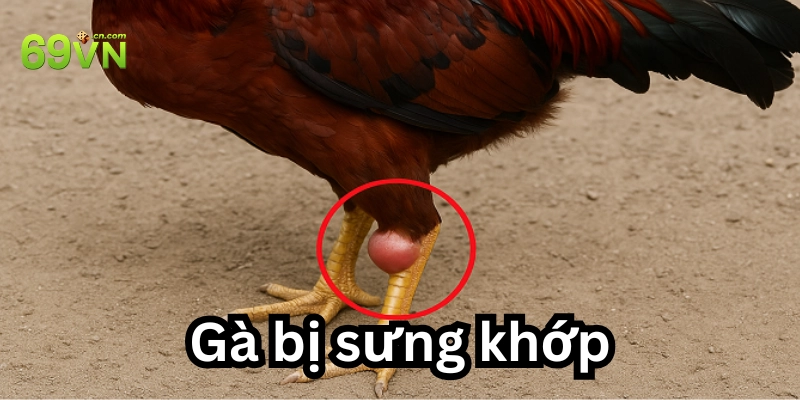 Nguyên nhân gây ra triệu chứng